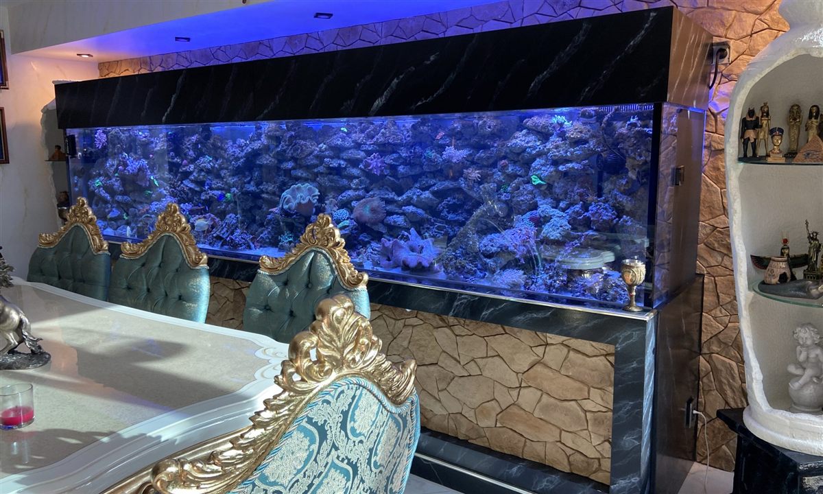 Aquarium Sonderanfertigung mit großem Glasbecken
