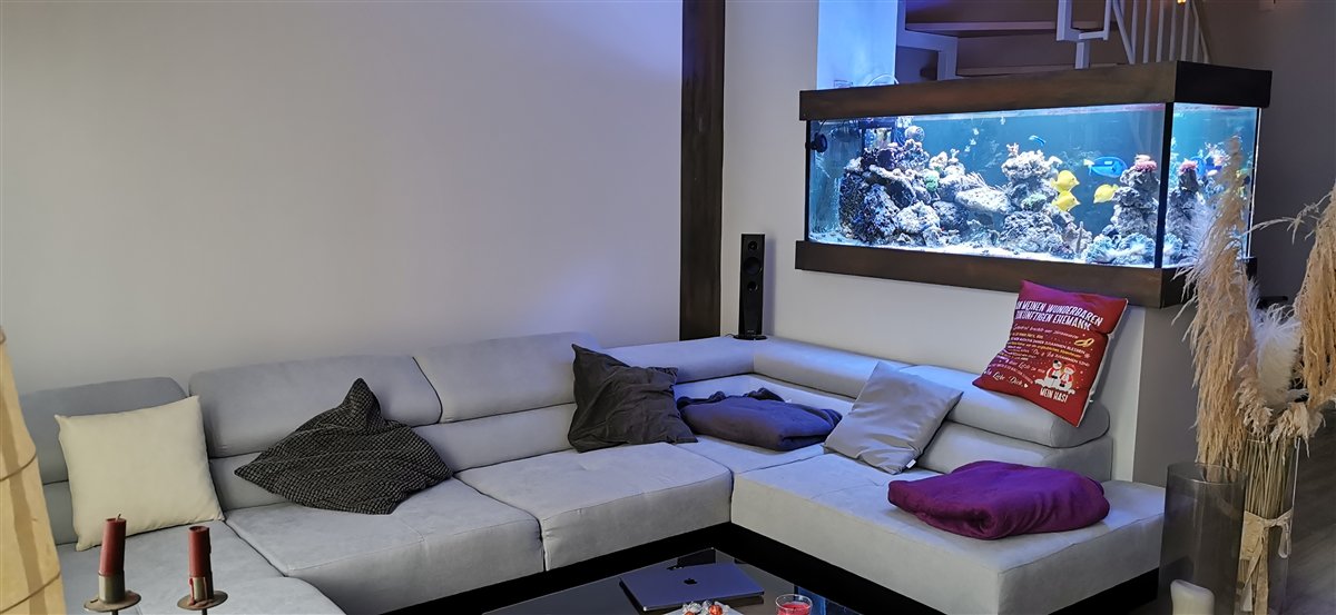 Aquarium als integriertes Raumkonzept in moderner Architektur