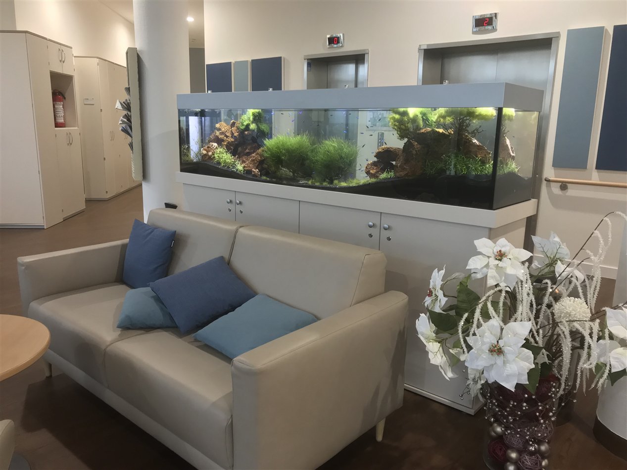 500 Liter Süßwasser-Aquarium Scaping Art im Foyer eines Altenpflegeheims