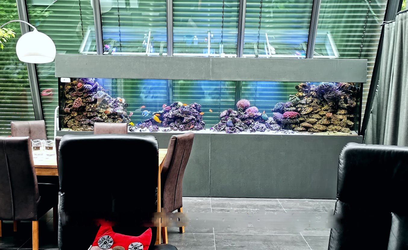 2400 Liter Salzwasser-Aquarium in einem Berliner Privathaushalt